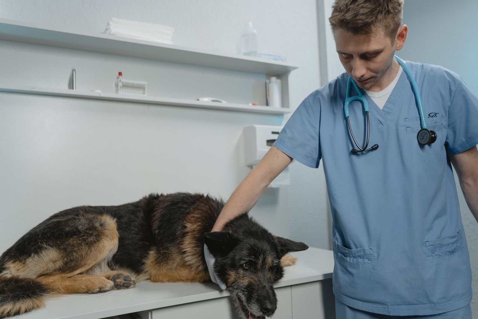 Veterinary clinic fit-out Dubai 2026 — consultation and examination room with a sealed wipeable treatment table, wall-mounted instrument shelving and a wall-hung paper dispenser