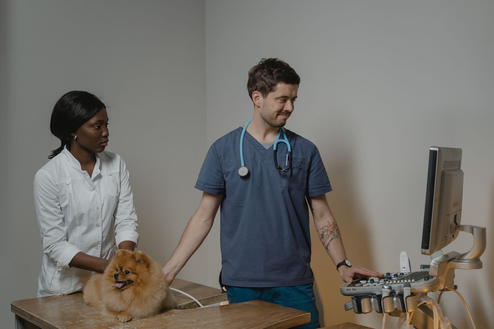 Veterinary diagnostic imaging room in a Dubai vet clinic fit-out — ultrasound unit and examination table in a dedicated diagnostics space separated from the consult rooms